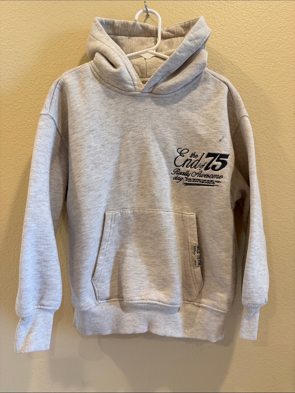 Zara Light Gray Kids Hoodie with Chest Graphic